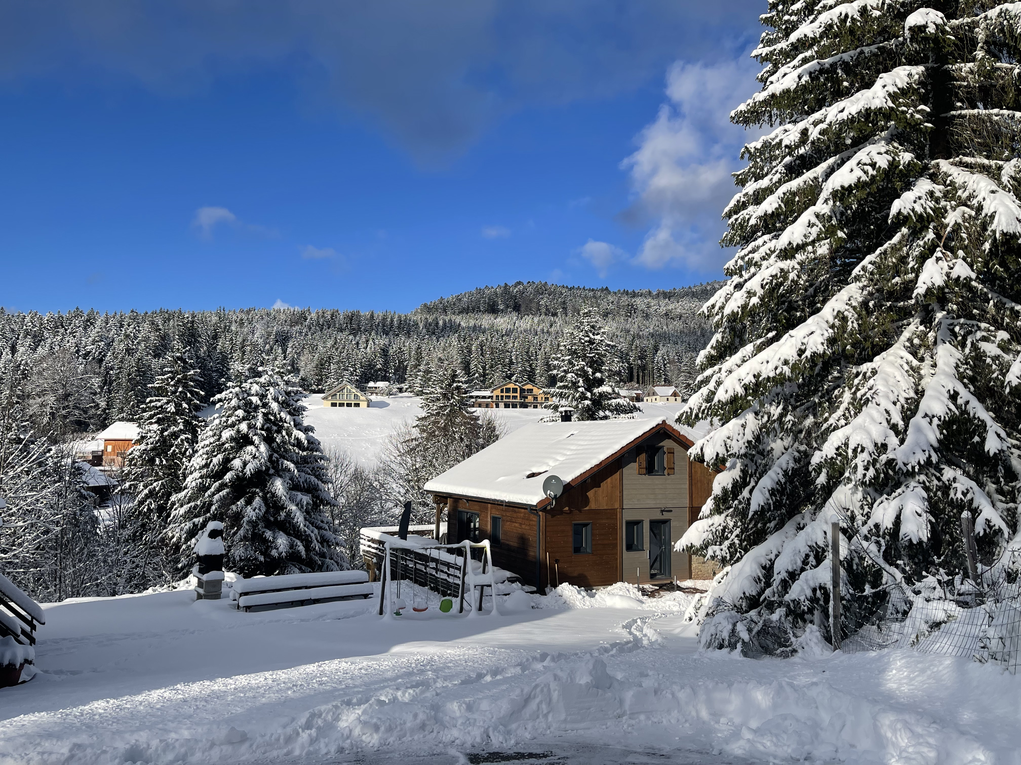 Vue hiver enneigée – forêt de sapins