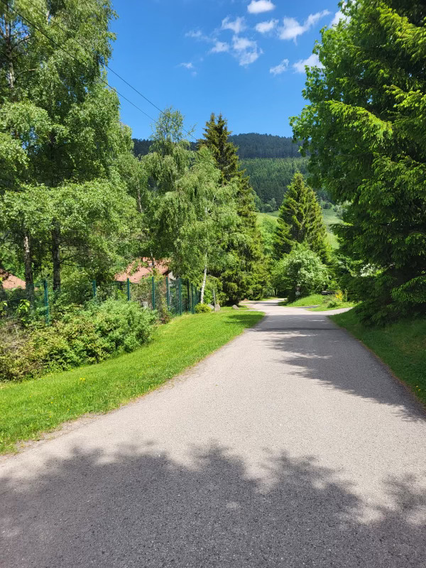 Route d'accès au domaine