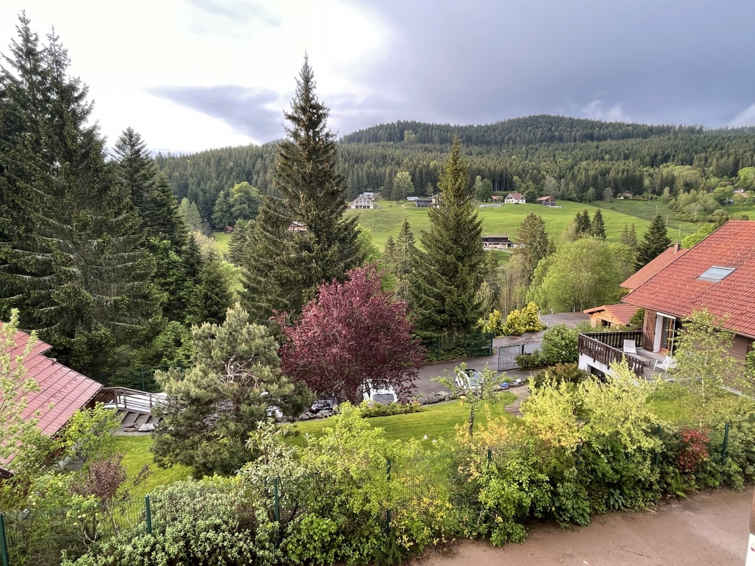 Vue aérienne du domaine